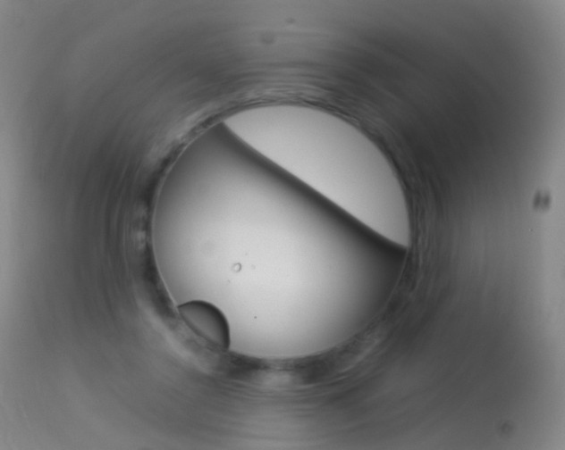 X0000113290356200909141010