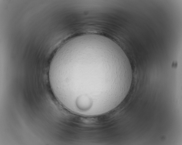 X0000113290359200909141010