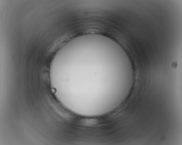 X0000113290361200909141010