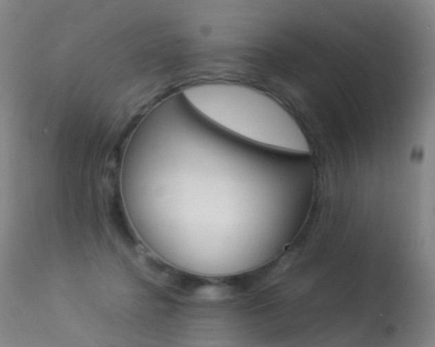 X0000113290364200909141010