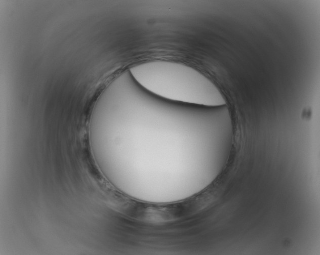 X0000113290367200909141010