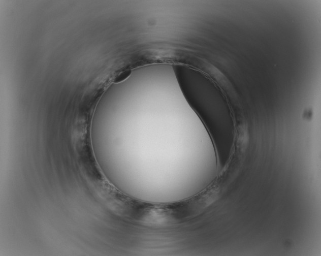 X0000113290372200909141010