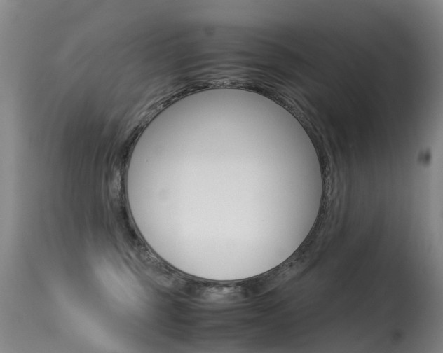 X0000113290375200909141010