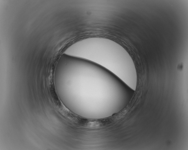 X0000113290376200909141010
