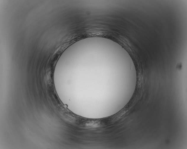 X0000113290377200909141010