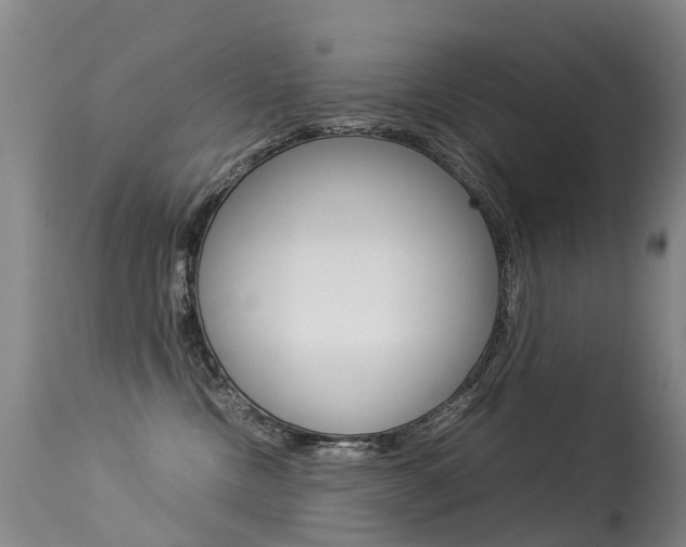 X0000113290378200909141010