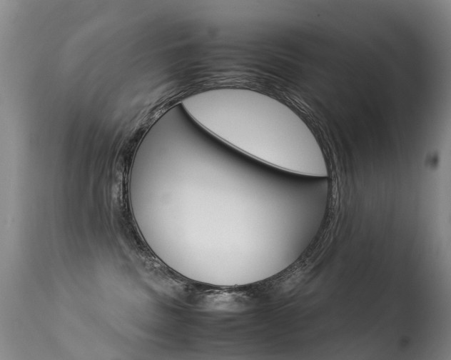 X0000113290379200909141010