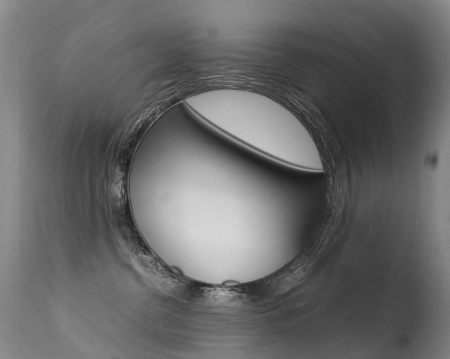 X0000113290380200909141010