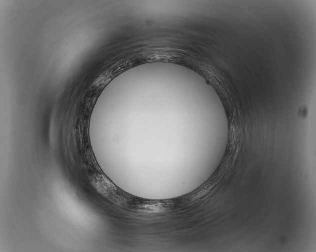 X0000113290381200909141010