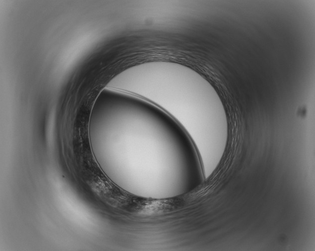 X0000113290382200909141010