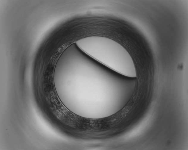 X0000113290383200909141010