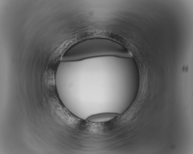 X0000113290384200909141010