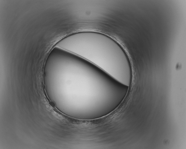 X0000113290385200909141010