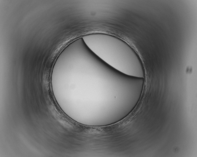 X0000113290386200909141009