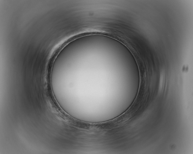 X0000113290388200909141009