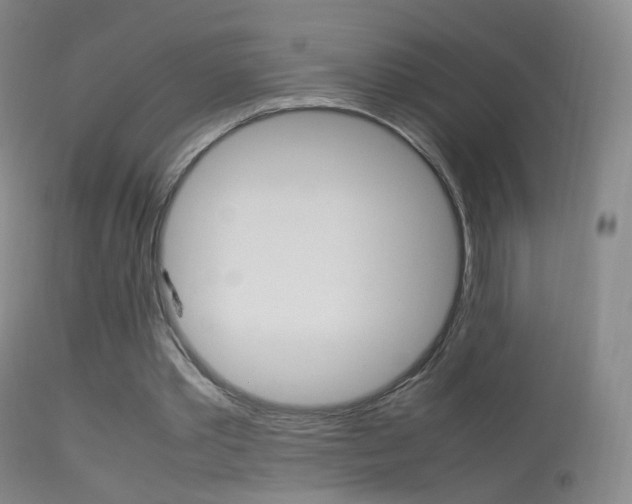 X0000113290389200909141009