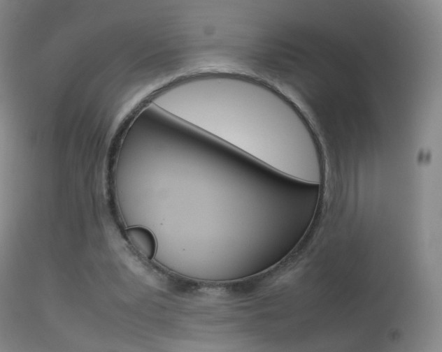 X0000113290391200909141009