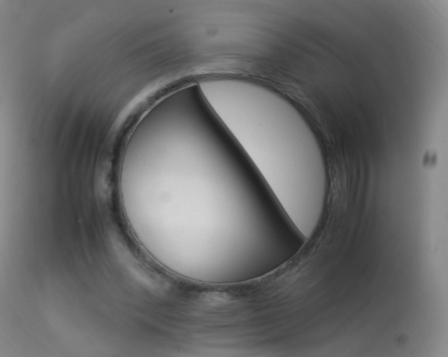 X0000113290392200909141009