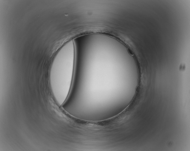 X0000113290393200909141009