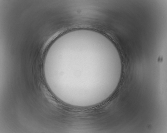 X0000113290395200909141009