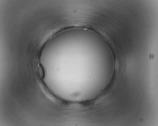 X0000113290397200909141009