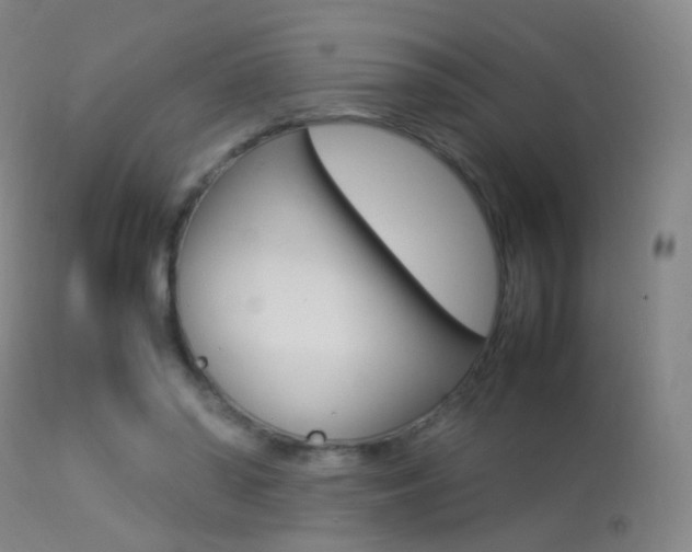 X0000113290398200909141009
