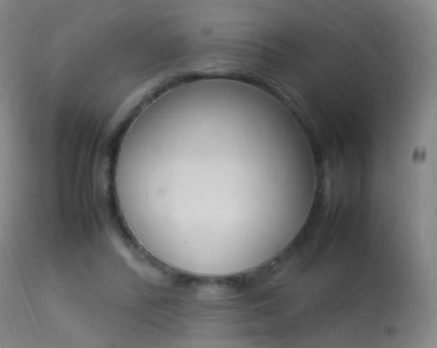X0000113290400200909141009