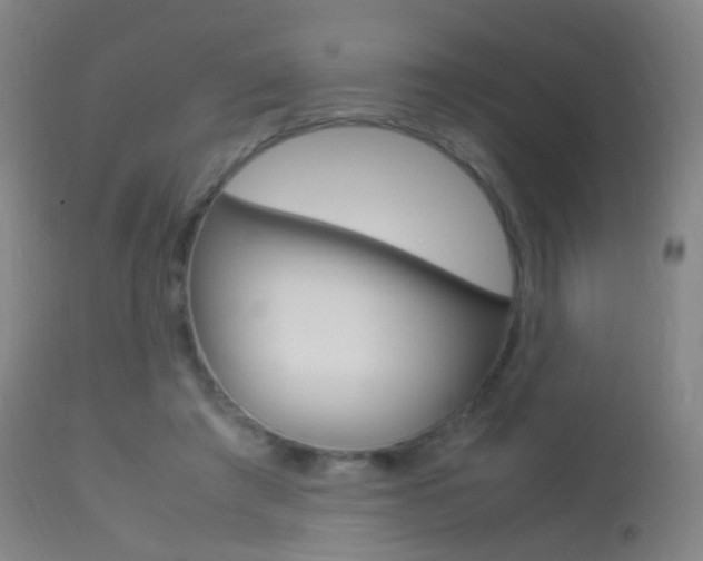 X0000113290401200909141009