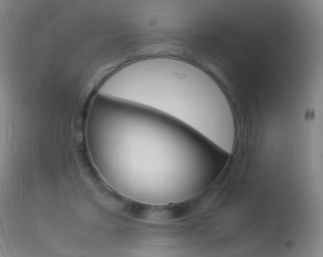 X0000113290403200909141009