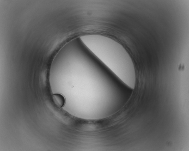 X0000113290404200909141009