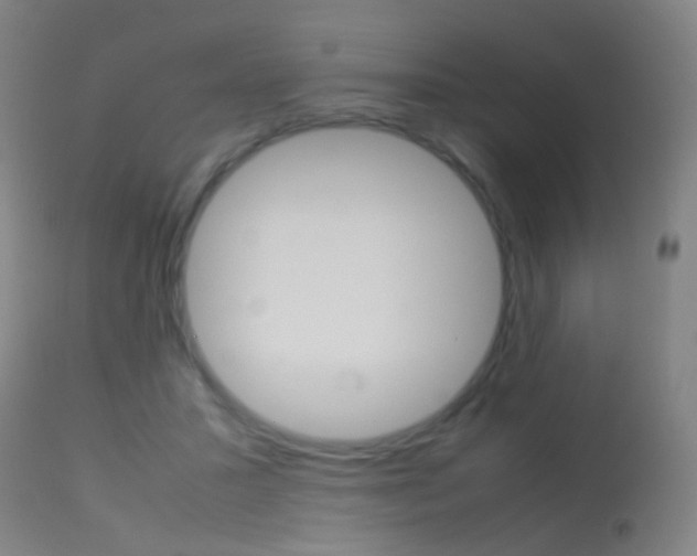 X0000113290407200909141009