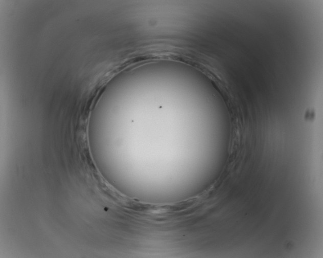 X0000113290411200909141009