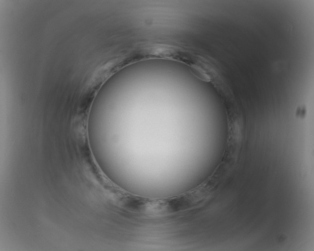 X0000113290415200909141009