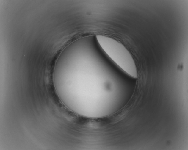 X0000113290416200909141009