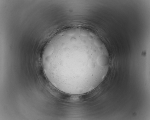 X0000113290418200909141009