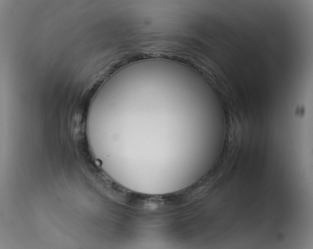 X0000113290420200909141009