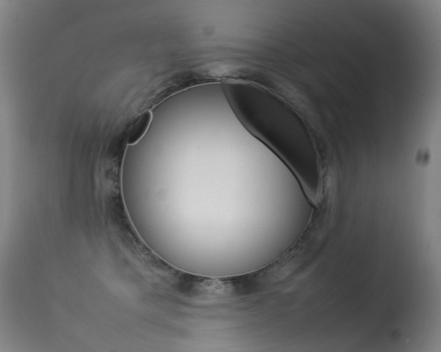 X0000113290421200909141009