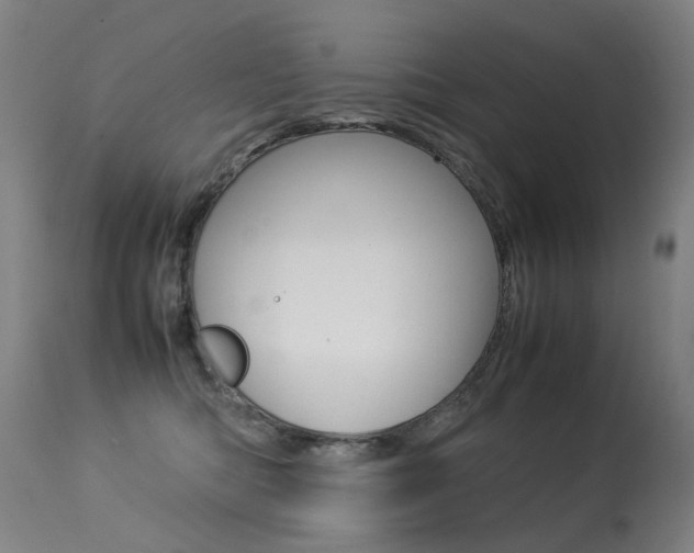 X0000113290422200909141009