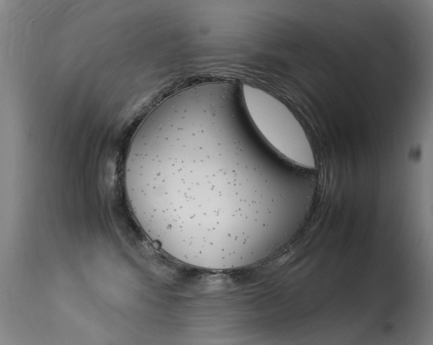 X0000113290424200909141009