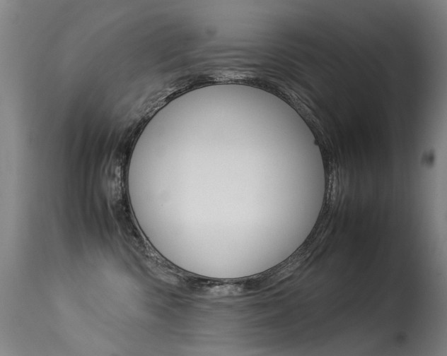 X0000113290426200909141009