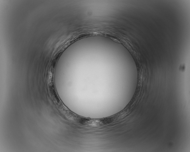 X0000113290427200909141009