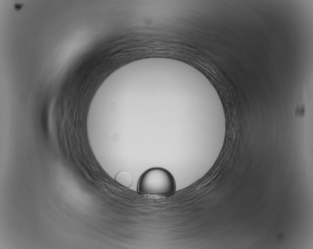 X0000113290429200909141009