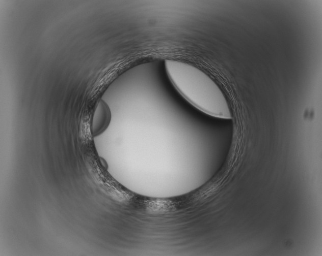X0000113290432200909141009