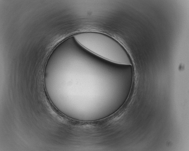 X0000113290433200909141008
