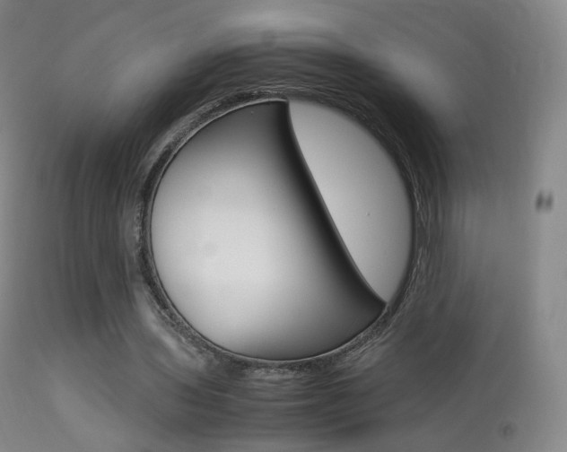 X0000113290435200909141008