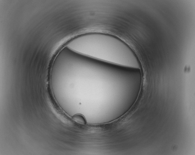 X0000113290438200909141008