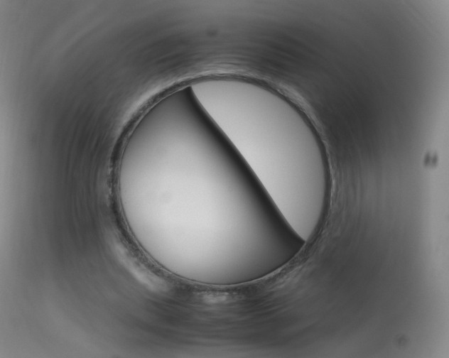 X0000113290439200909141008