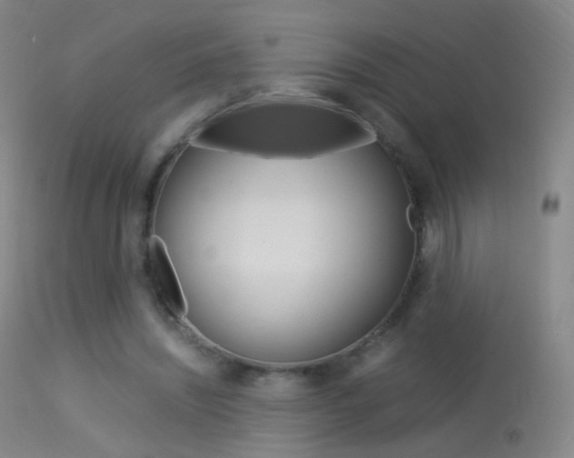 X0000113290444200909141008