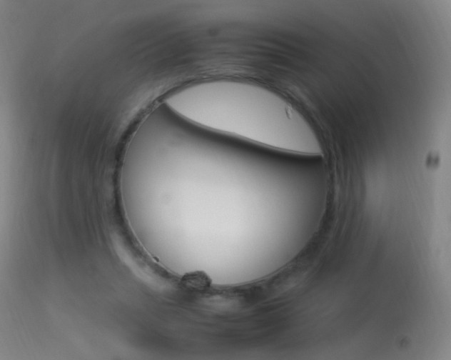 X0000113290447200909141008