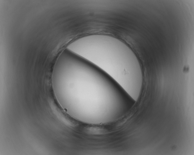 X0000113290449200909141008